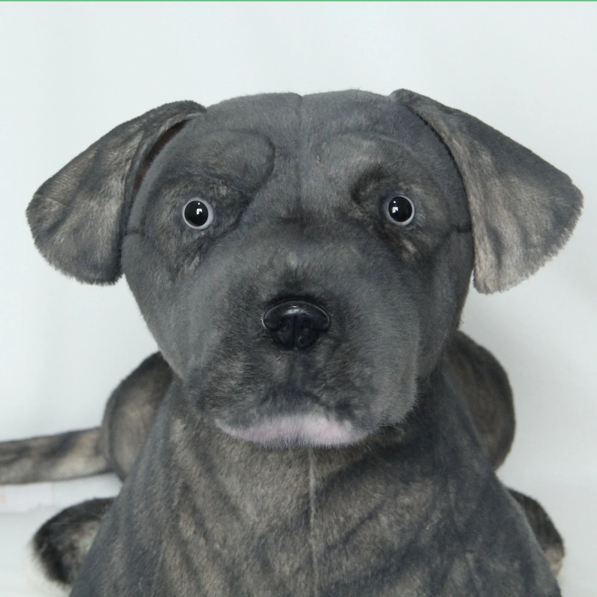 NO.28 Black Puppy 21.6 inches