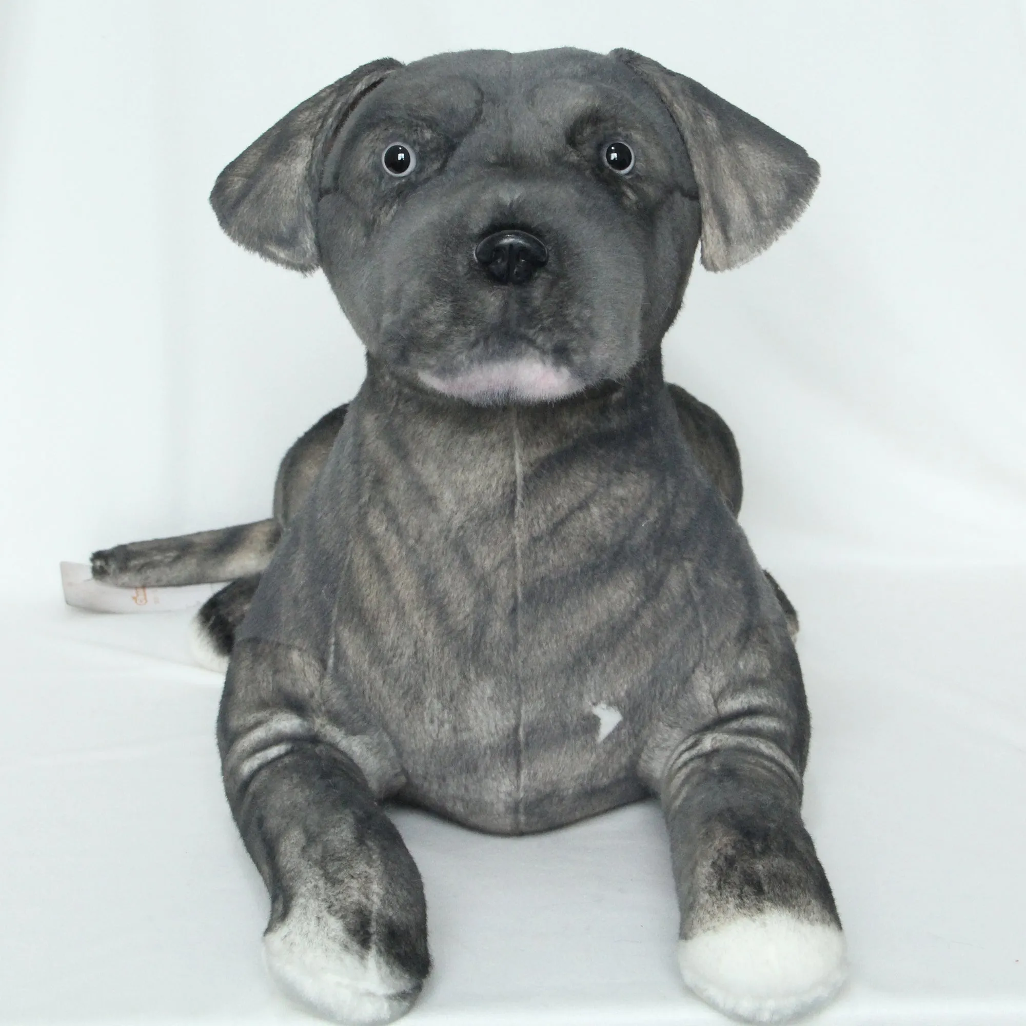NO.28 Black Puppy 21.6 inches